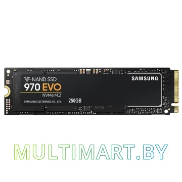SSD диск Samsung 970 Evo 250GB (MZ-V7E250BW)